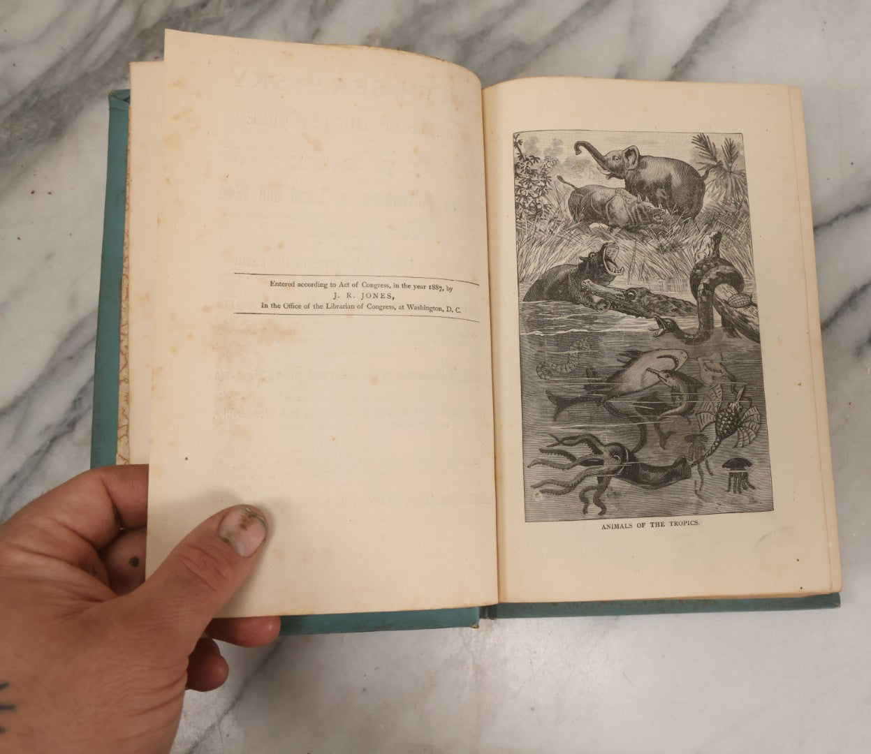 Lot 012 - "Earth, Sea, And Sky; Or The Marvels Of The Universe" Antique Natural History Book By Henry Davenport Northrop, With Over 300 Fine Engravings, L.P. Miller & Co., Publishers, Chicago & Philadelphia, 1887