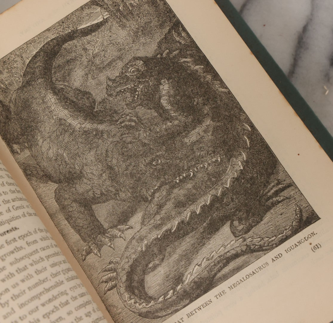 Lot 012 - "Earth, Sea, And Sky; Or The Marvels Of The Universe" Antique Natural History Book By Henry Davenport Northrop, With Over 300 Fine Engravings, L.P. Miller & Co., Publishers, Chicago & Philadelphia, 1887