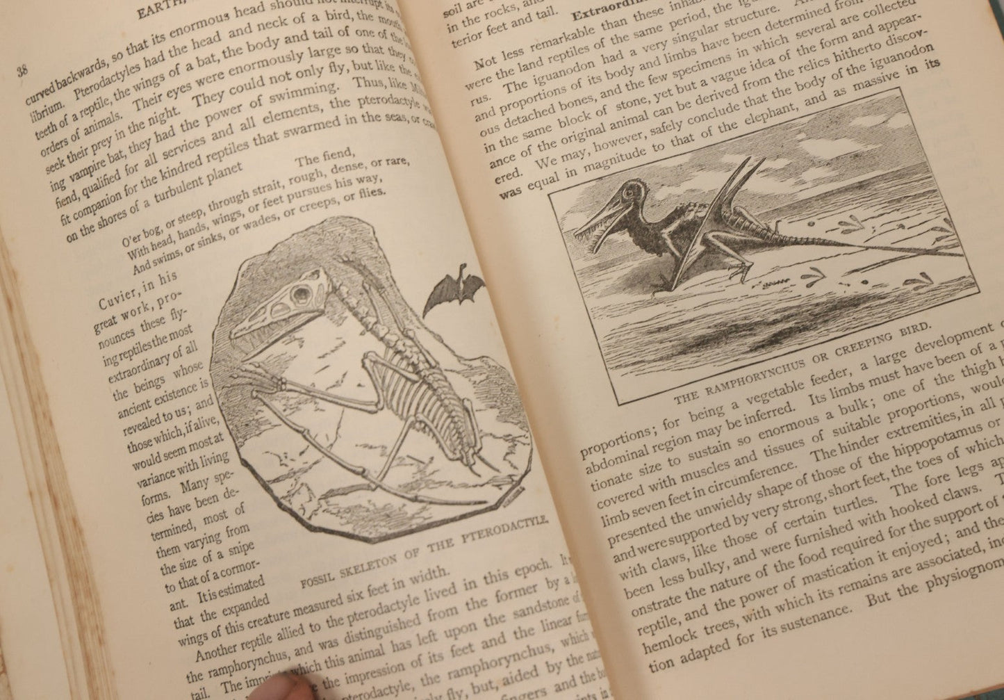 Lot 012 - "Earth, Sea, And Sky; Or The Marvels Of The Universe" Antique Natural History Book By Henry Davenport Northrop, With Over 300 Fine Engravings, L.P. Miller & Co., Publishers, Chicago & Philadelphia, 1887