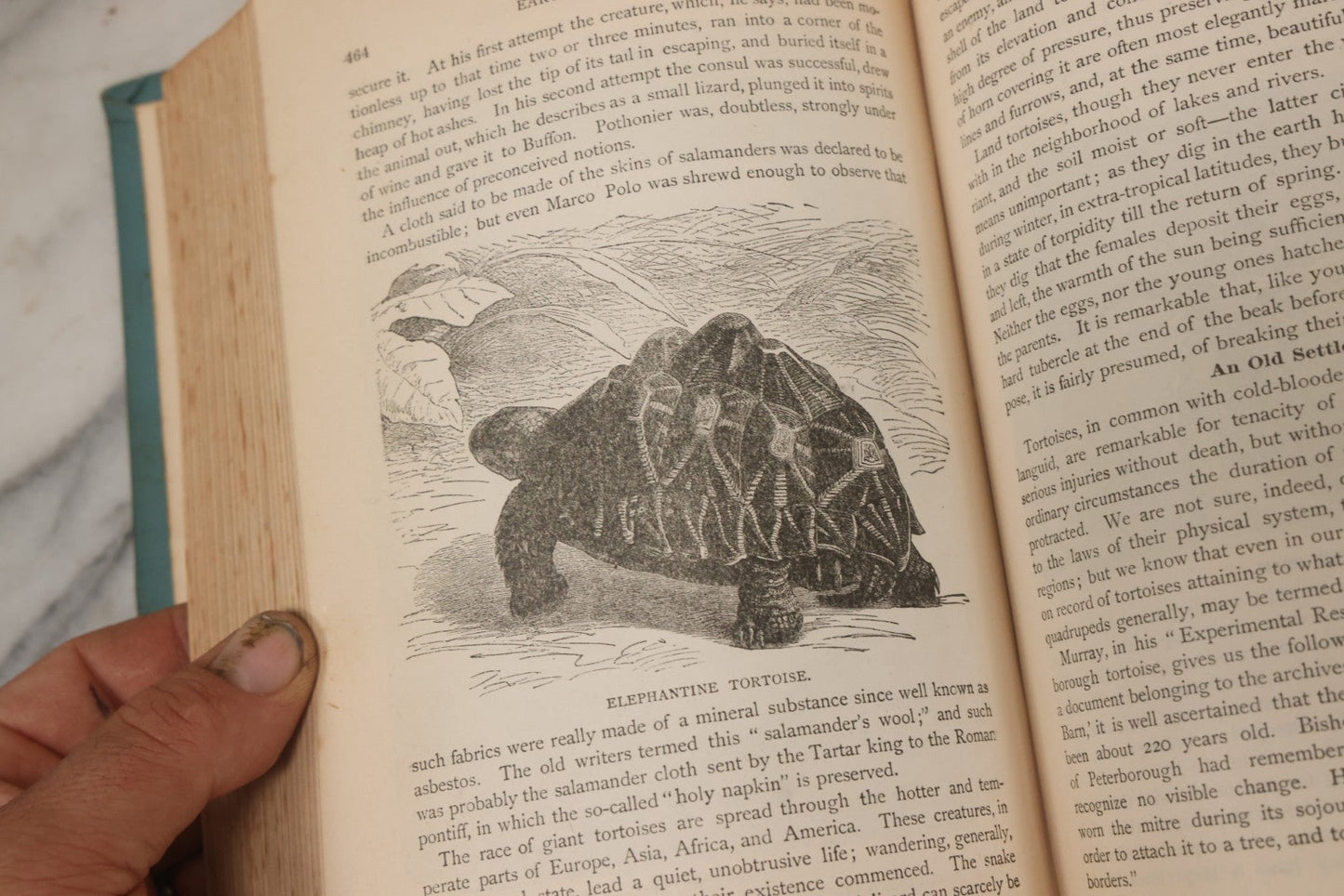 Lot 012 - "Earth, Sea, And Sky; Or The Marvels Of The Universe" Antique Natural History Book By Henry Davenport Northrop, With Over 300 Fine Engravings, L.P. Miller & Co., Publishers, Chicago & Philadelphia, 1887