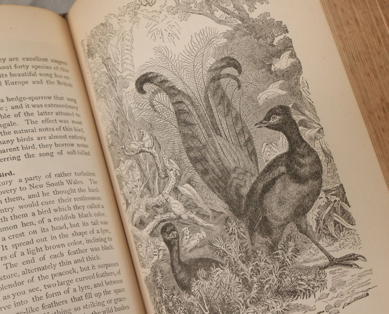 Lot 012 - "Earth, Sea, And Sky; Or The Marvels Of The Universe" Antique Natural History Book By Henry Davenport Northrop, With Over 300 Fine Engravings, L.P. Miller & Co., Publishers, Chicago & Philadelphia, 1887