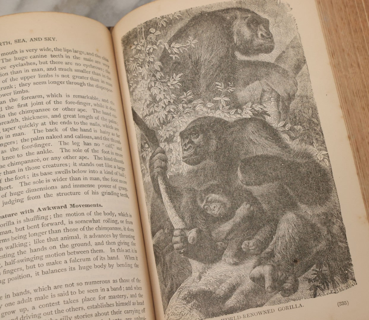 Lot 012 - "Earth, Sea, And Sky; Or The Marvels Of The Universe" Antique Natural History Book By Henry Davenport Northrop, With Over 300 Fine Engravings, L.P. Miller & Co., Publishers, Chicago & Philadelphia, 1887