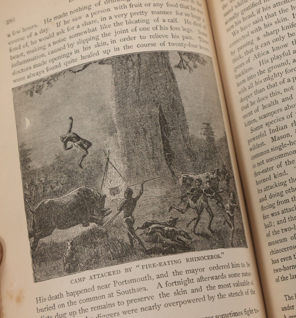 Lot 012 - "Earth, Sea, And Sky; Or The Marvels Of The Universe" Antique Natural History Book By Henry Davenport Northrop, With Over 300 Fine Engravings, L.P. Miller & Co., Publishers, Chicago & Philadelphia, 1887