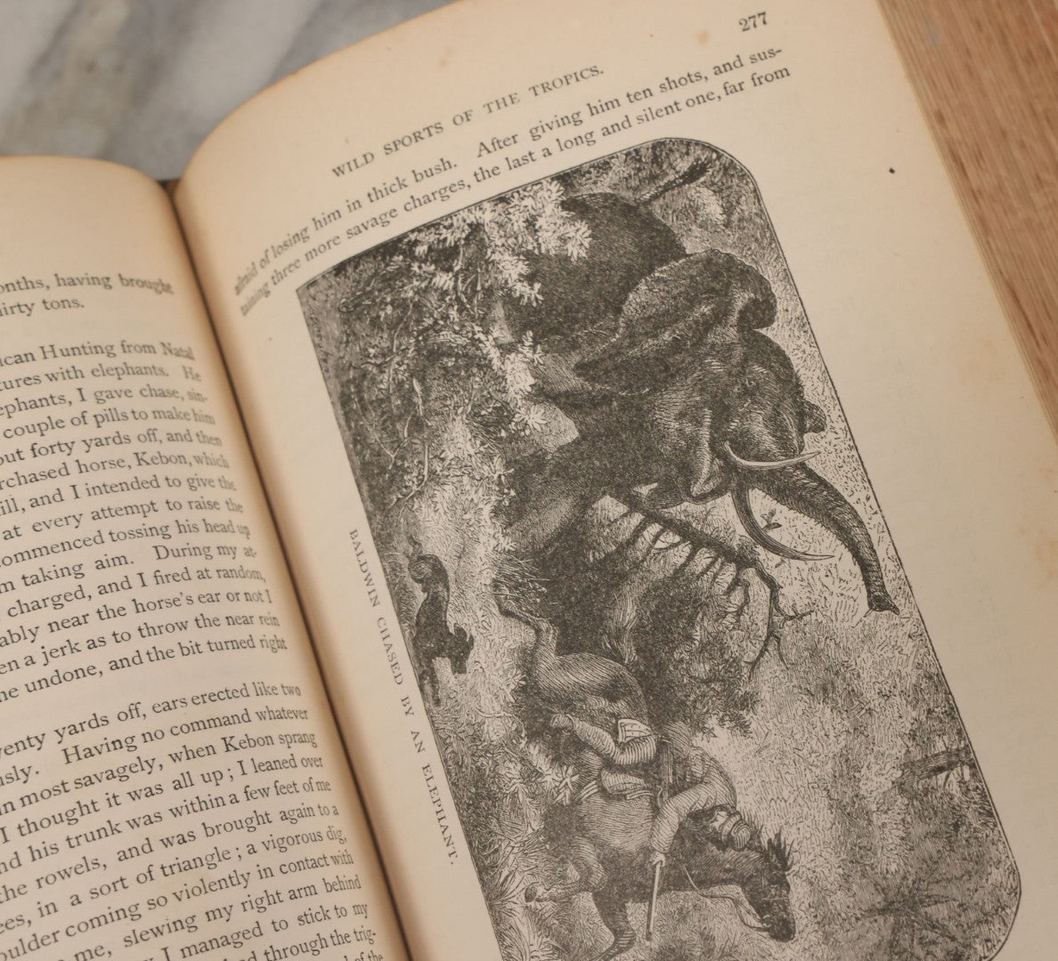 Lot 012 - "Earth, Sea, And Sky; Or The Marvels Of The Universe" Antique Natural History Book By Henry Davenport Northrop, With Over 300 Fine Engravings, L.P. Miller & Co., Publishers, Chicago & Philadelphia, 1887