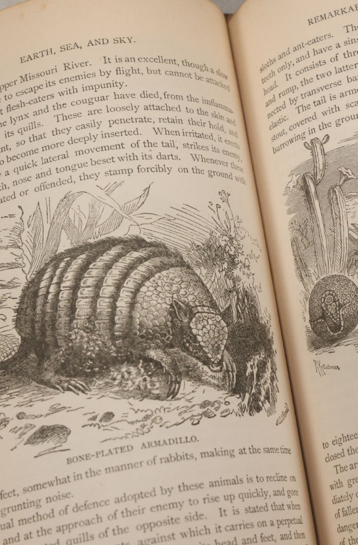Lot 012 - "Earth, Sea, And Sky; Or The Marvels Of The Universe" Antique Natural History Book By Henry Davenport Northrop, With Over 300 Fine Engravings, L.P. Miller & Co., Publishers, Chicago & Philadelphia, 1887