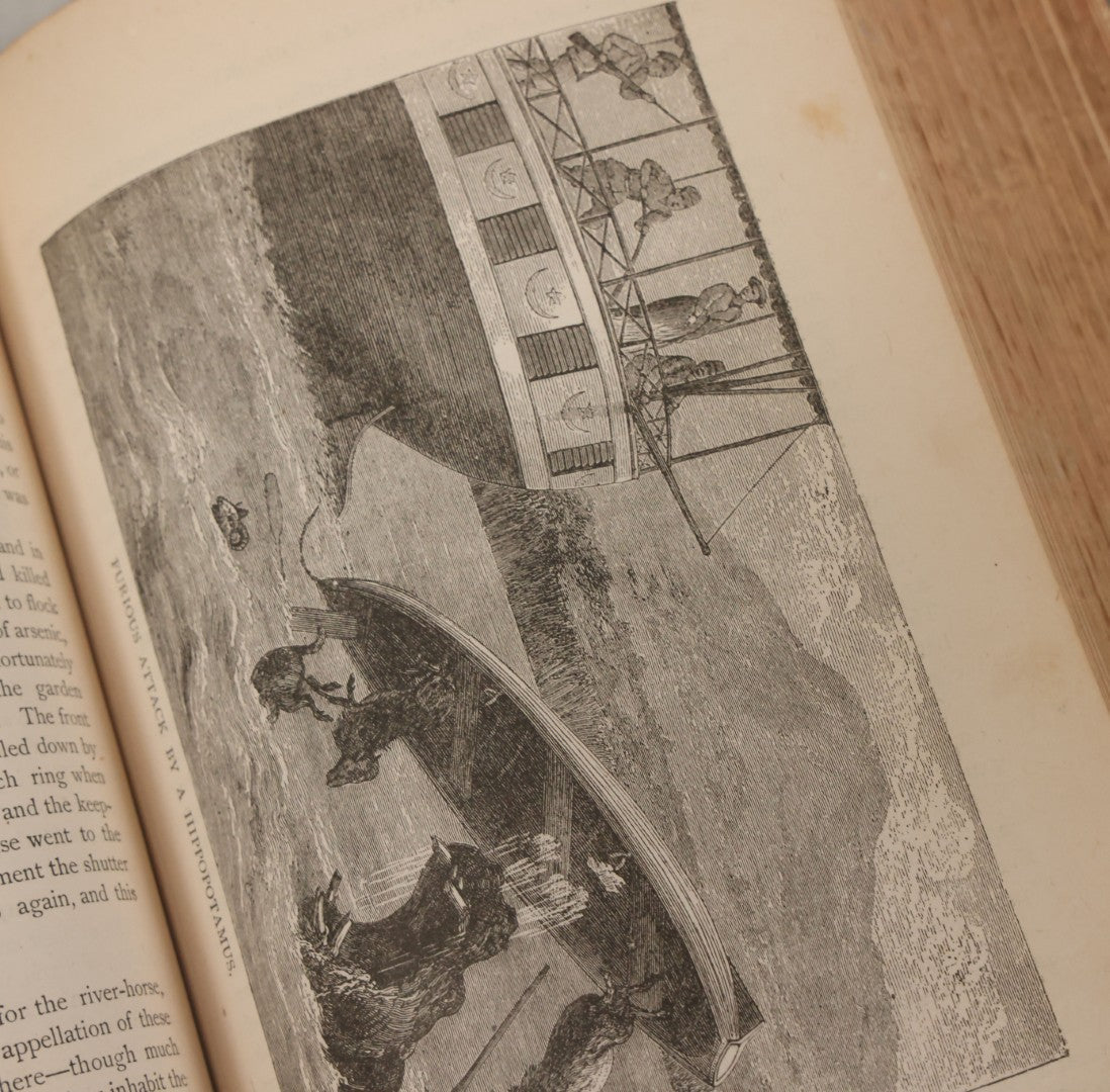 Lot 012 - "Earth, Sea, And Sky; Or The Marvels Of The Universe" Antique Natural History Book By Henry Davenport Northrop, With Over 300 Fine Engravings, L.P. Miller & Co., Publishers, Chicago & Philadelphia, 1887