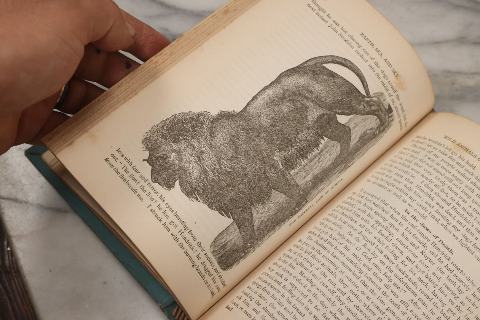 Lot 012 - "Earth, Sea, And Sky; Or The Marvels Of The Universe" Antique Natural History Book By Henry Davenport Northrop, With Over 300 Fine Engravings, L.P. Miller & Co., Publishers, Chicago & Philadelphia, 1887