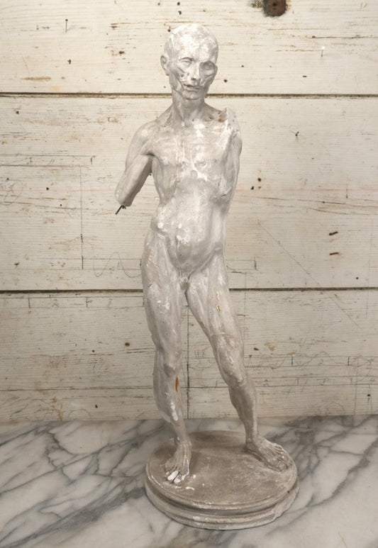 Lot 022 - Antique Anatomical Medical Human Body Chalkware Sculpture Statue, Manufactured By P.P. Caproni & Bro., Caproni Casts, Made In U.S.A., Boston, Note Heavy Wear And Losses, 23-1/2" H