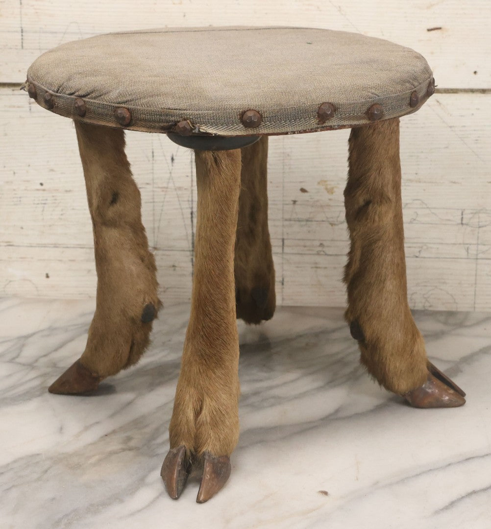 Lot 042 - Vintage Deer Leg And Hoof Taxidermy Foot Stool With Original Fabric Upholstery, Four Deer Legs, Note One Leg Missing Hoof Claw