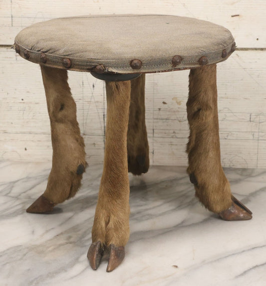 Lot 042 - Vintage Deer Leg And Hoof Taxidermy Foot Stool With Original Fabric Upholstery, Four Deer Legs, Note One Leg Missing Hoof Claw