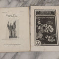 Lot 067 - Grouping Of Four Agricultural Pamphlets Including "Houseplants And Their Care" (September 1929), "Poison Ivy And Poison Sumac" (May 1929), "Transplanting Trees And Shrubs" (August 1929), "Chrysanthemums For The Home" (September 1931)