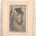 Lot 079 - Antique Boarded Photograph Of Cat Named Smarty Cleaning Himself, With Caption "The Afternoon Bath"