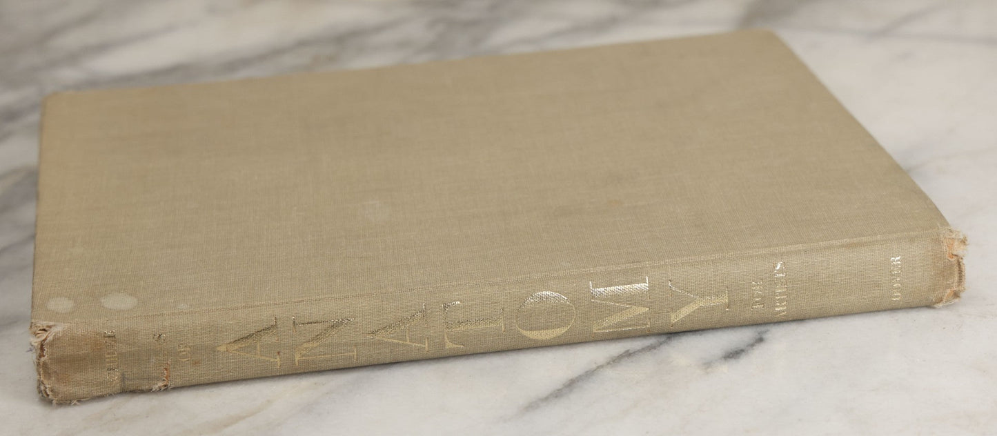 Lot 152 - "An Atlas Of Anatomy For Artists" Vintage Profusely Illustrated Anatomy Drawing Book By Fritz Schider, Dover Publications Inc., New York, 1957, Third American Edition