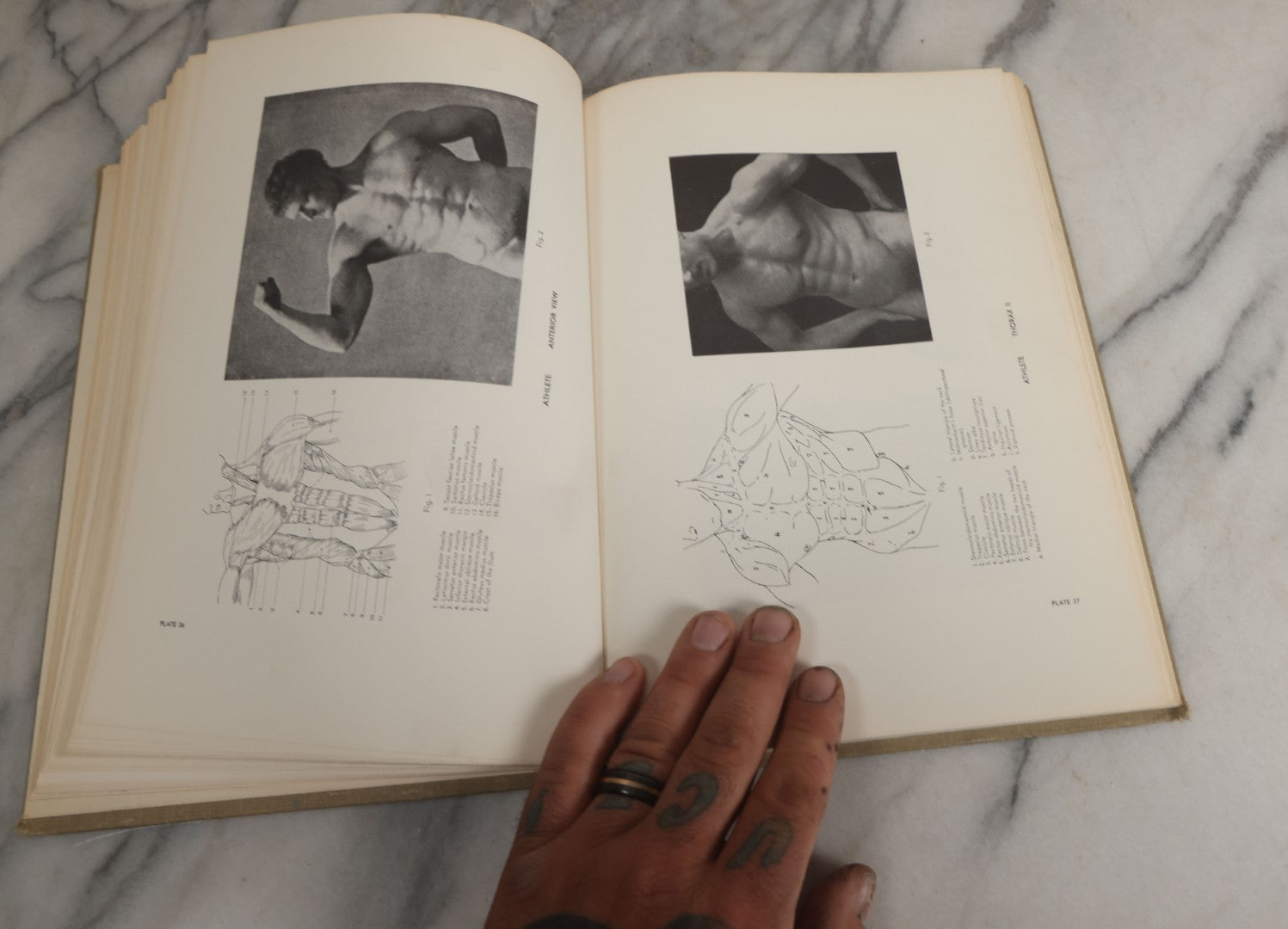 Lot 152 - "An Atlas Of Anatomy For Artists" Vintage Profusely Illustrated Anatomy Drawing Book By Fritz Schider, Dover Publications Inc., New York, 1957, Third American Edition