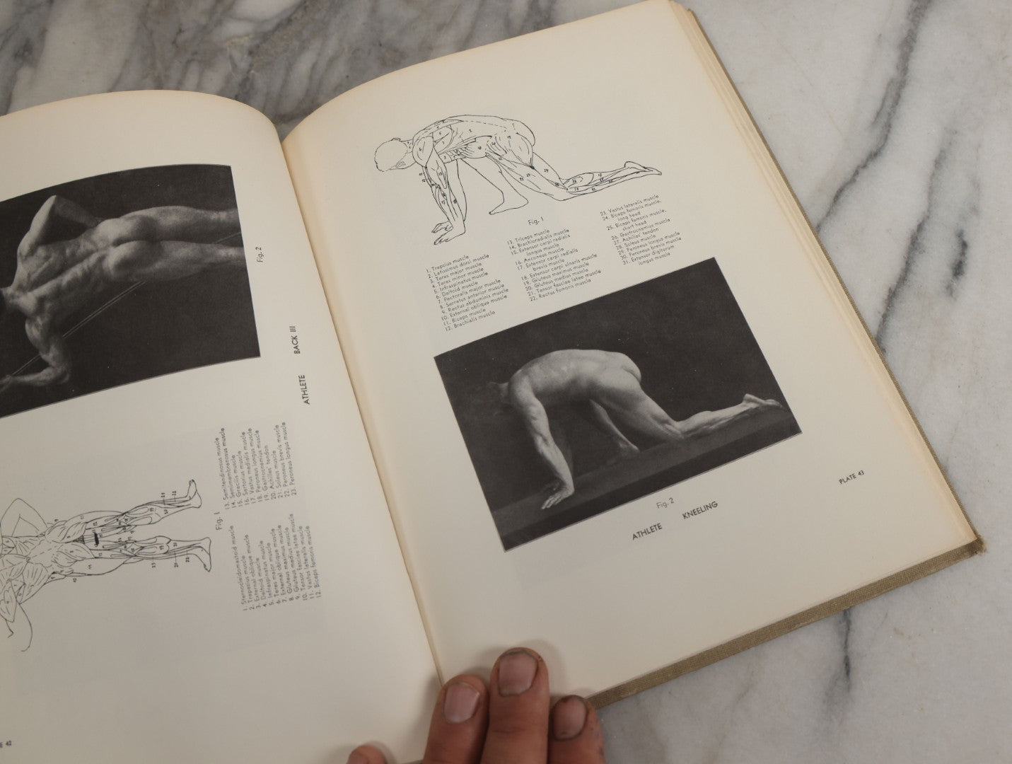 Lot 152 - "An Atlas Of Anatomy For Artists" Vintage Profusely Illustrated Anatomy Drawing Book By Fritz Schider, Dover Publications Inc., New York, 1957, Third American Edition