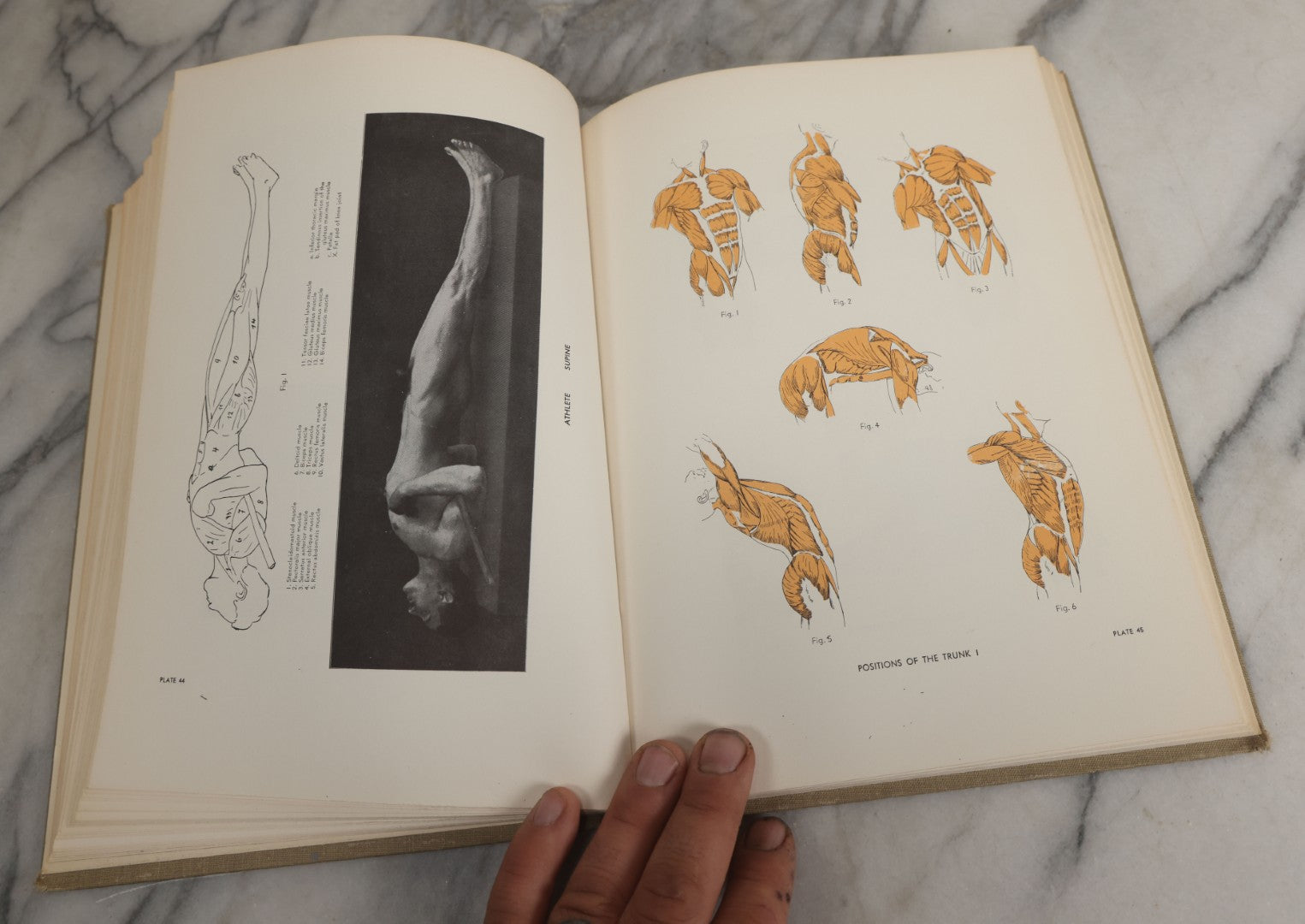 Lot 152 - "An Atlas Of Anatomy For Artists" Vintage Profusely Illustrated Anatomy Drawing Book By Fritz Schider, Dover Publications Inc., New York, 1957, Third American Edition