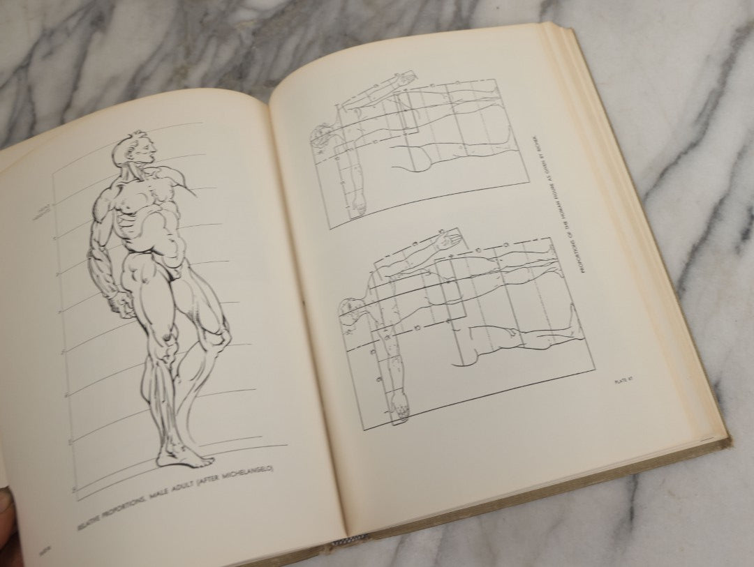 Lot 152 - "An Atlas Of Anatomy For Artists" Vintage Profusely Illustrated Anatomy Drawing Book By Fritz Schider, Dover Publications Inc., New York, 1957, Third American Edition