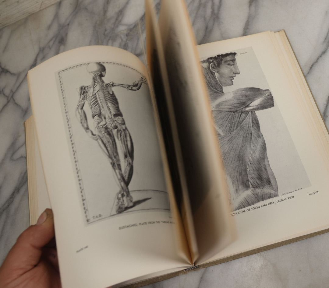 Lot 152 - "An Atlas Of Anatomy For Artists" Vintage Profusely Illustrated Anatomy Drawing Book By Fritz Schider, Dover Publications Inc., New York, 1957, Third American Edition