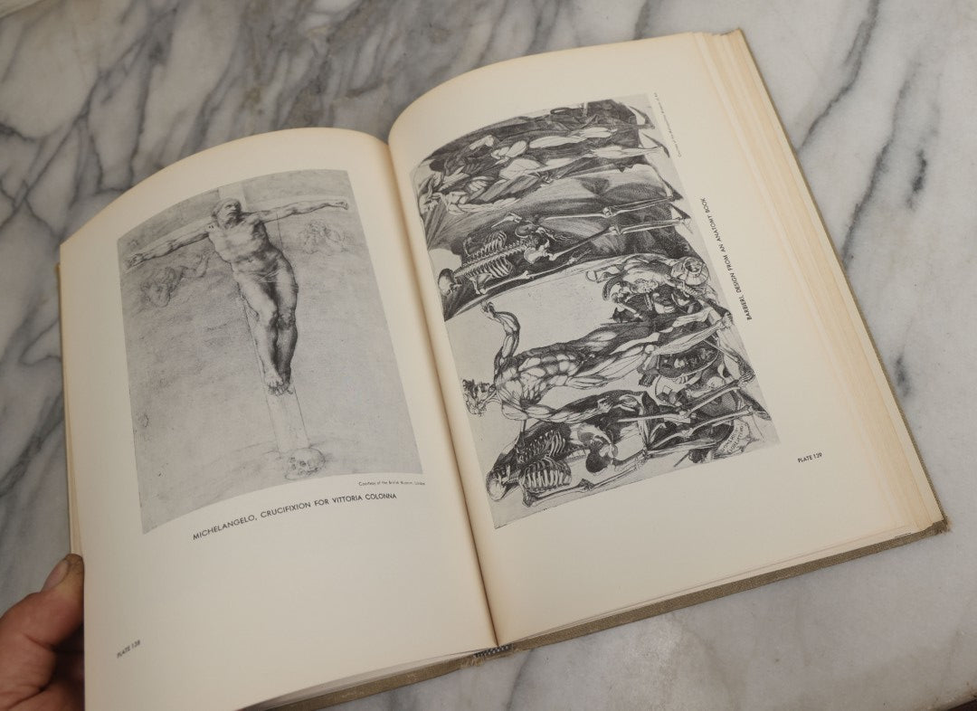 Lot 152 - "An Atlas Of Anatomy For Artists" Vintage Profusely Illustrated Anatomy Drawing Book By Fritz Schider, Dover Publications Inc., New York, 1957, Third American Edition
