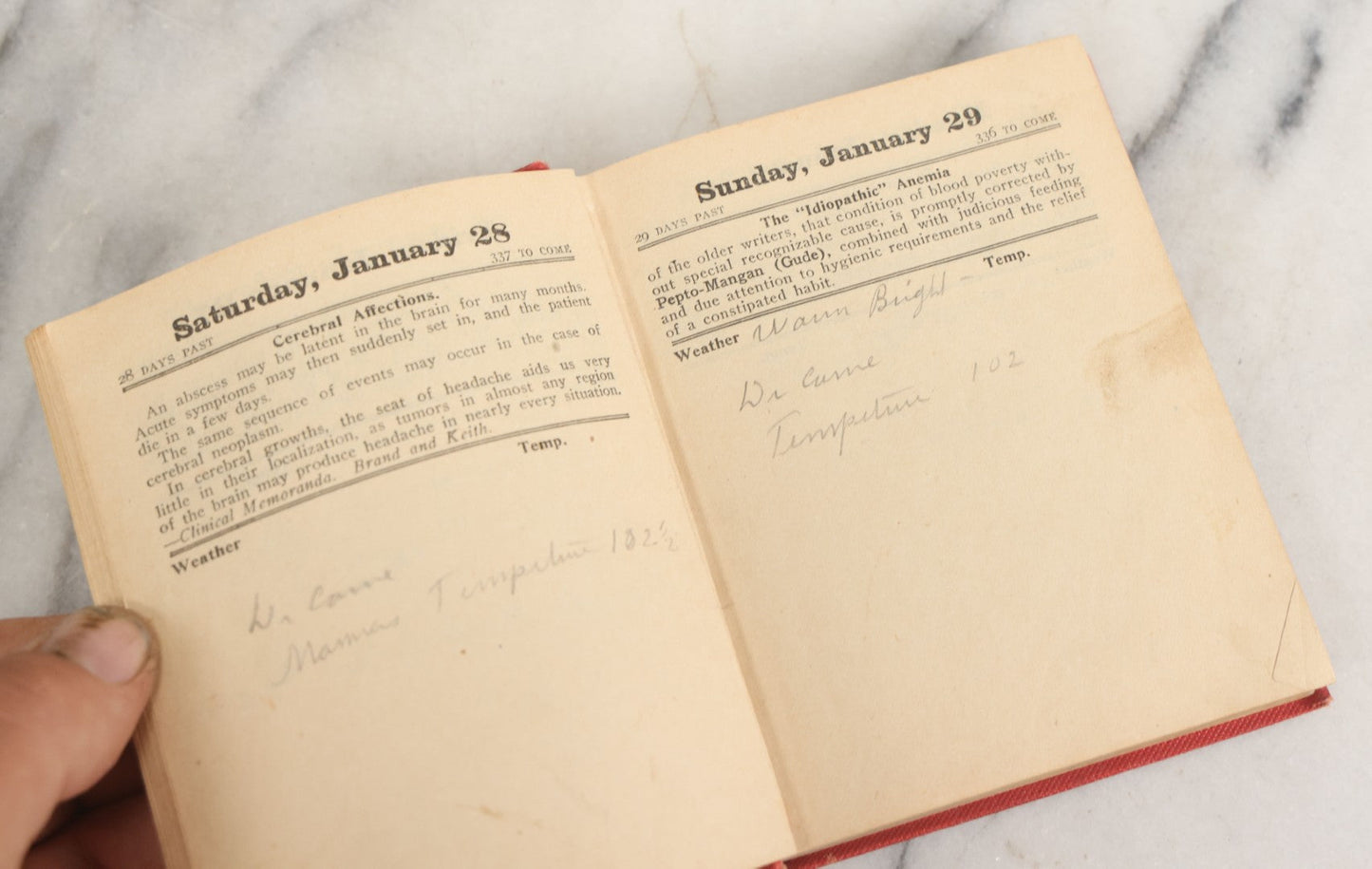 Lot 153 - "Physicians Daily Memorandum For 1911" Antique Doctor's Notebook And Calendar With Handwritten Notes, Advertisement For Pepto-Mangan, Compliments Of M.J. Breitenbach Company, New York City