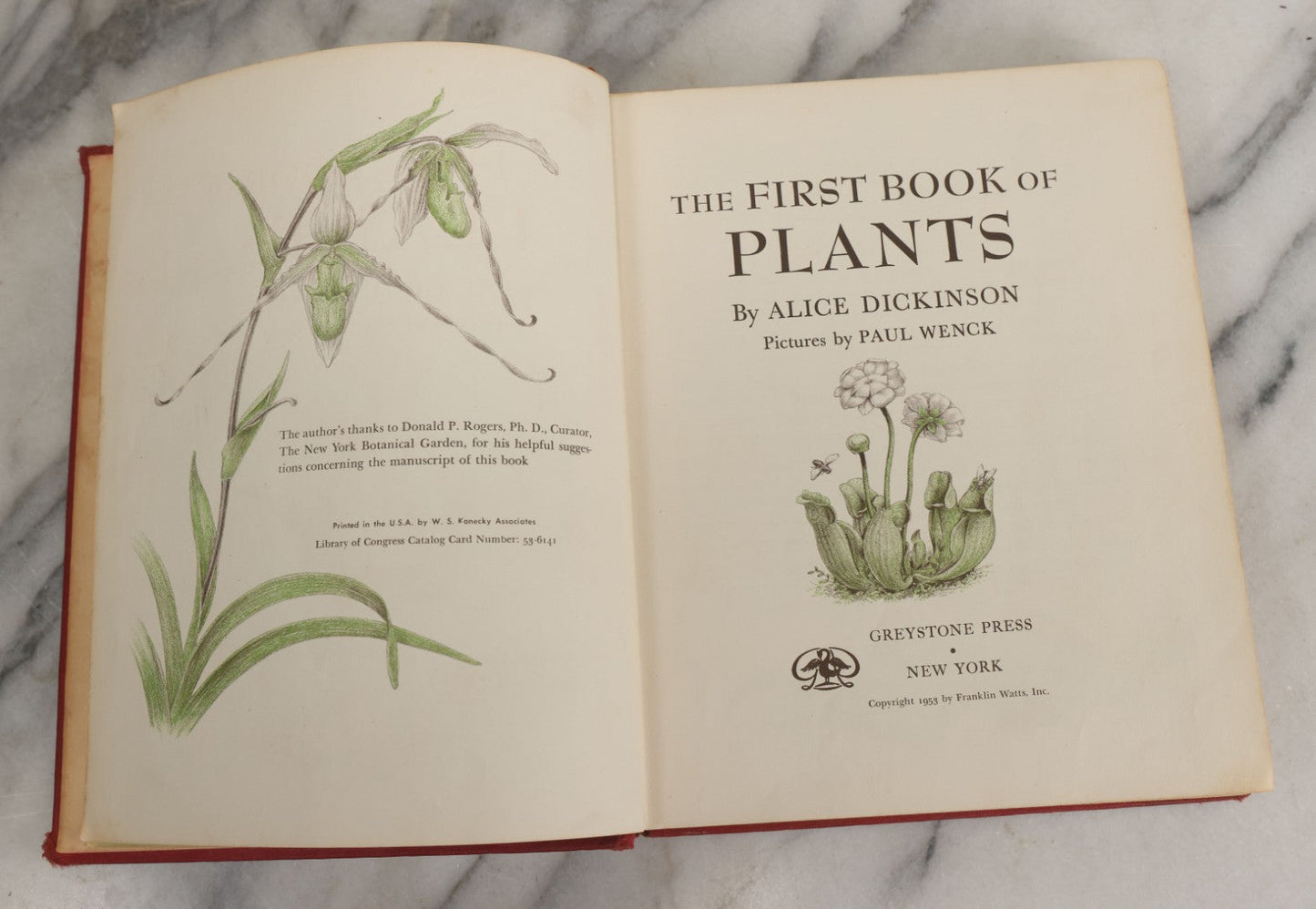 Lot 162 - "The First Book Of Plants" Vintage Book By Alice Dickinson, With Pictures By Paul Wenck, Graystone Press, Publishers, New York, Copyright 1953