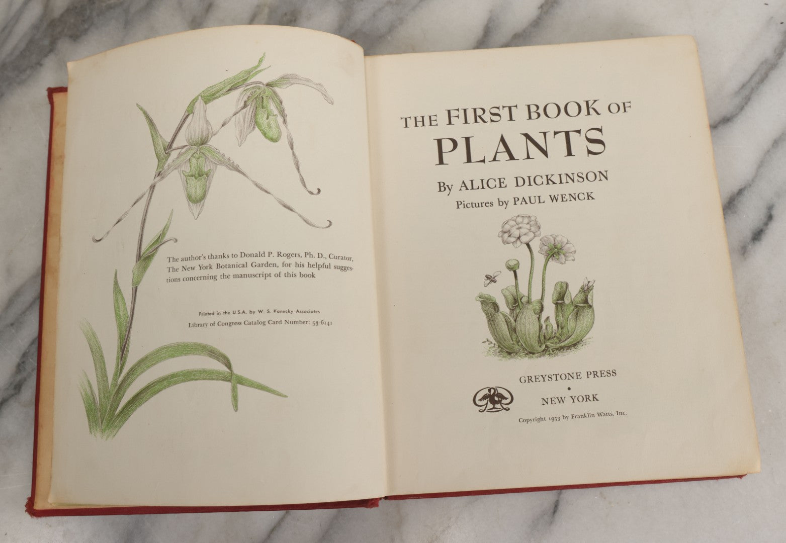 Lot 162 - "The First Book Of Plants" Vintage Book By Alice Dickinson, With Pictures By Paul Wenck, Graystone Press, Publishers, New York, Copyright 1953