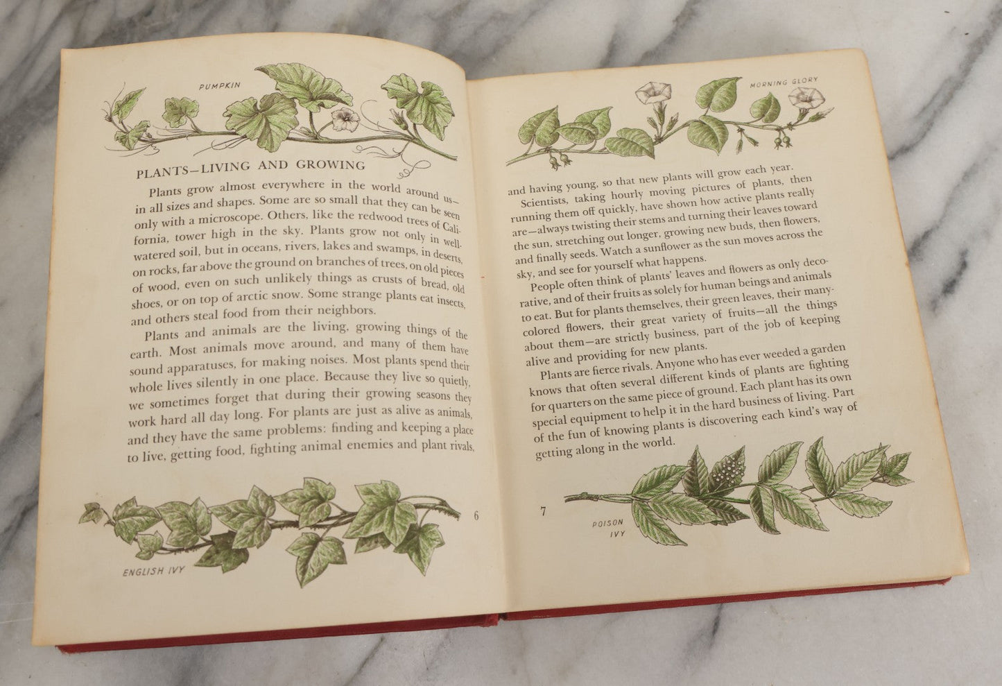 Lot 162 - "The First Book Of Plants" Vintage Book By Alice Dickinson, With Pictures By Paul Wenck, Graystone Press, Publishers, New York, Copyright 1953
