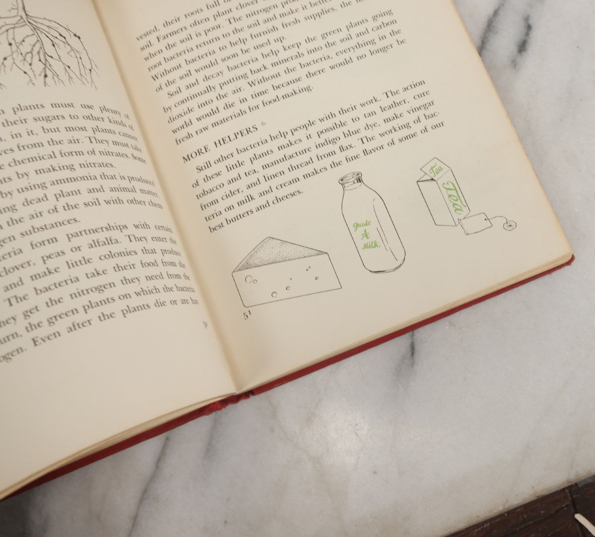 Lot 162 - "The First Book Of Plants" Vintage Book By Alice Dickinson, With Pictures By Paul Wenck, Graystone Press, Publishers, New York, Copyright 1953