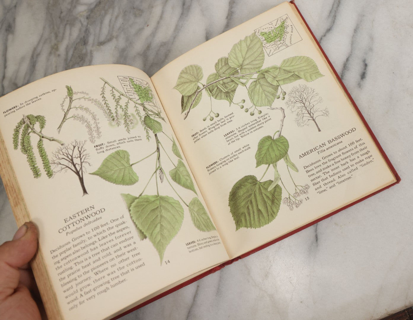 Lot 162 - "The First Book Of Plants" Vintage Book By Alice Dickinson, With Pictures By Paul Wenck, Graystone Press, Publishers, New York, Copyright 1953