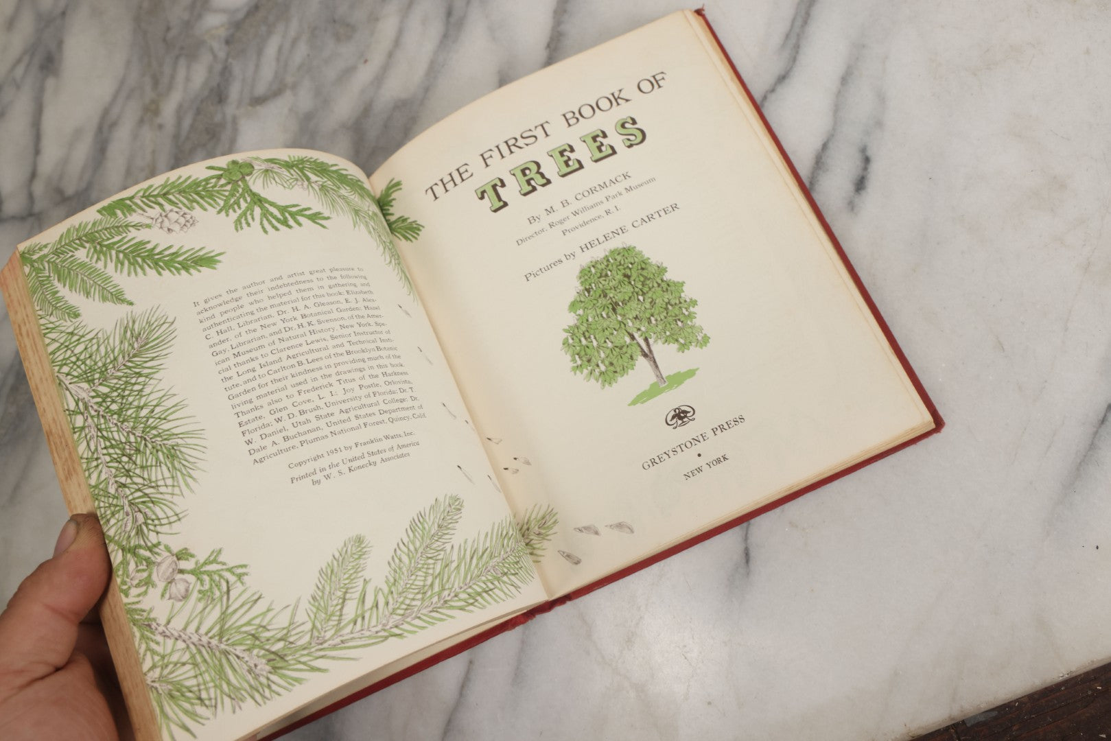 Lot 162 - "The First Book Of Plants" Vintage Book By Alice Dickinson, With Pictures By Paul Wenck, Graystone Press, Publishers, New York, Copyright 1953