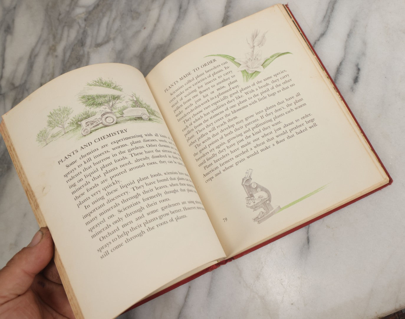 Lot 162 - "The First Book Of Plants" Vintage Book By Alice Dickinson, With Pictures By Paul Wenck, Graystone Press, Publishers, New York, Copyright 1953