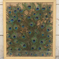 Lot 037 - Vintage Framed Real Peacock Feathers Display, As Found, Note Many Feathers Have Deteriorated, 19-1/4" x 22"