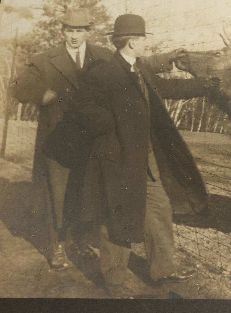 Lot 082 - Antique Boarded Photograph Of Two Men Petting An Elk Through A Chicken Wire Fence