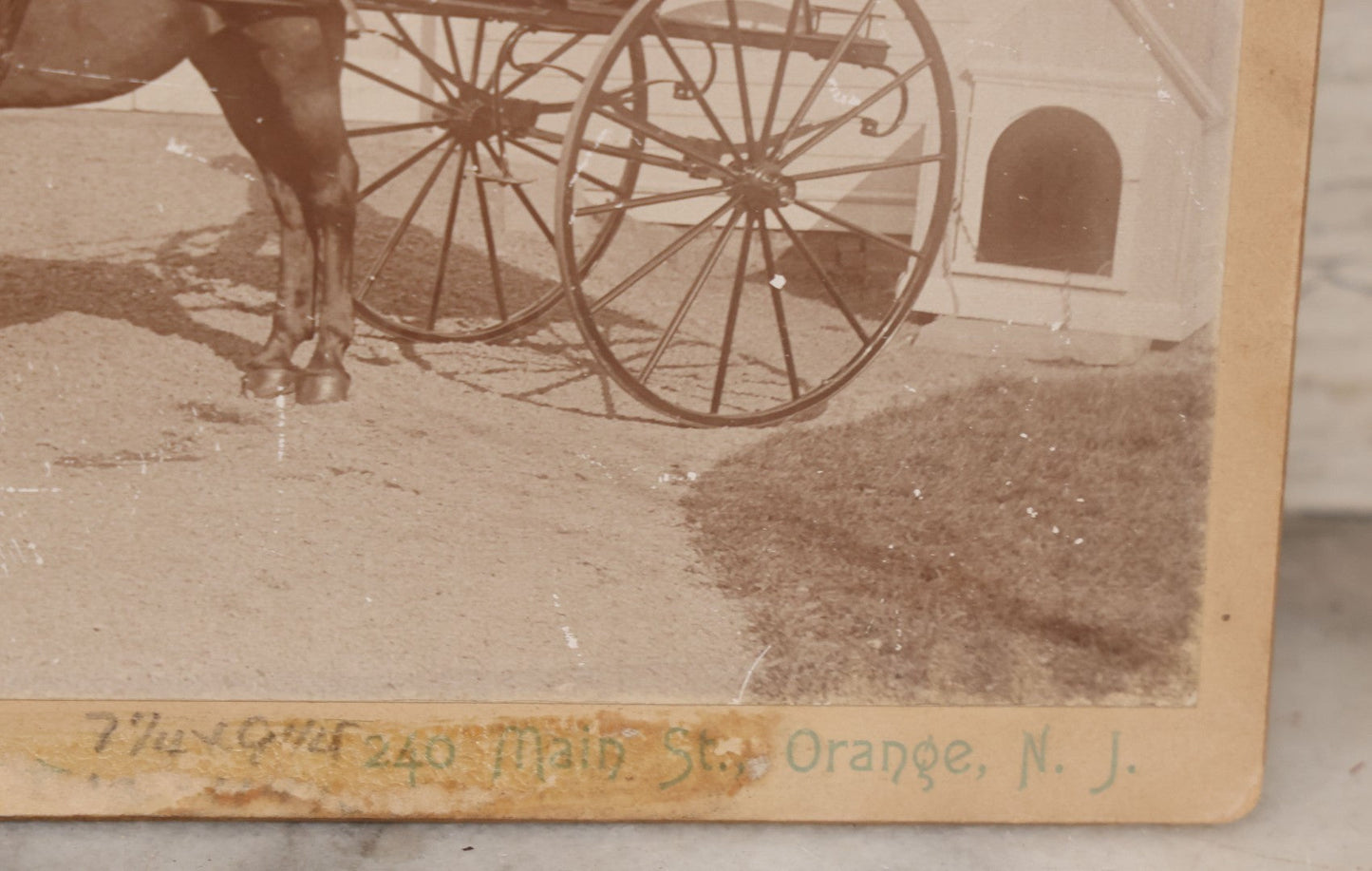Lot 084 - Antique Boarded Photograph Of Man Sitting In Horsedrawn Carriage With Two Horses In Front Of A Home With Doghouse, Photographed By Jewett, Orange, New Jersey