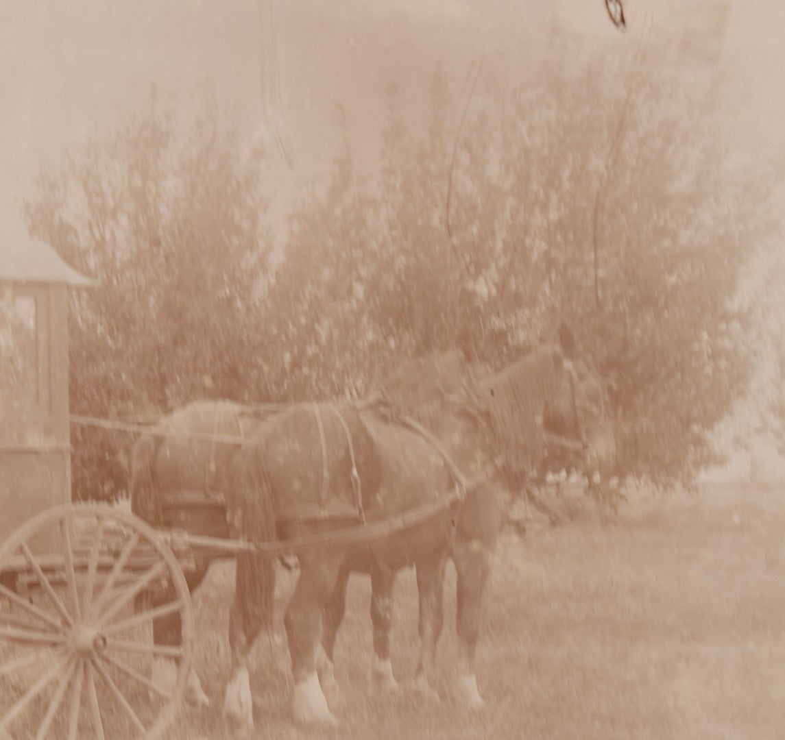 Lot 085 - Antique Boarded Photograph Of Horsedrawn Delivery Wagon Advertising Butter, Buttermilk, Corn, And Crackers