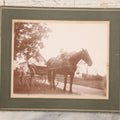 Lot 088 - Antique Boarded Photograph Of Family On Horsedrawn Cart Identified As Herbert & Vivian Eastman And Children Robert Goss & Charles Eastman, Outbuildings Visible In Background