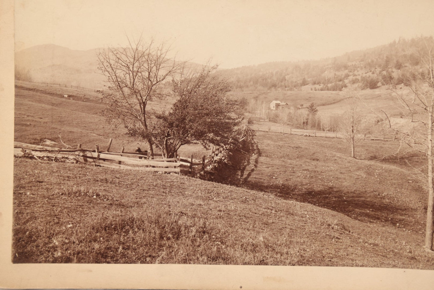 Lot 108 - Antique Boarded Photograph Of Hillside New England Farm With Farmhouse, Barn, Stone Wall, Fence, Horse, And More Visible, J. Brodie Smith, Photographer, Manchester New Hampshire