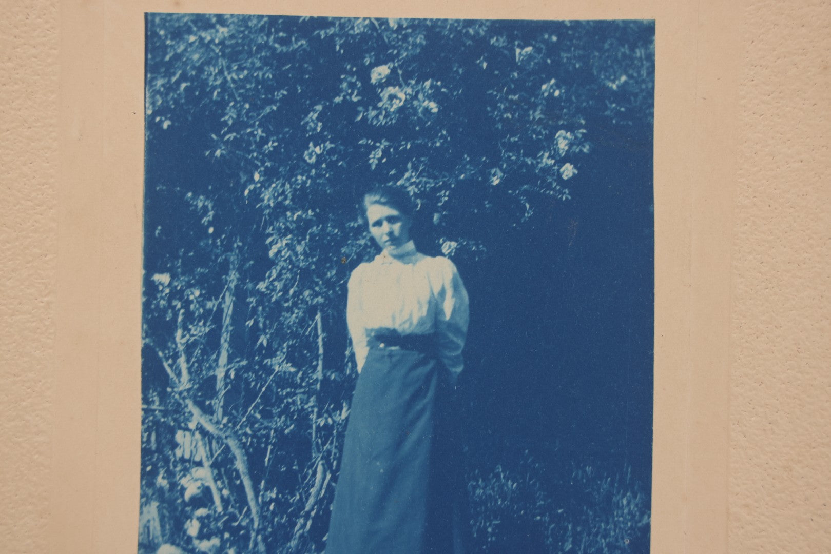 Lot 119 - Pair Of Antique Cyanotype Boarded Photographs Of Alice Esther Stowell, Posing Outside 156 Orange Grove Avenue, Pasadina, California, April 1899, With Detailed Idenfitication on Verso