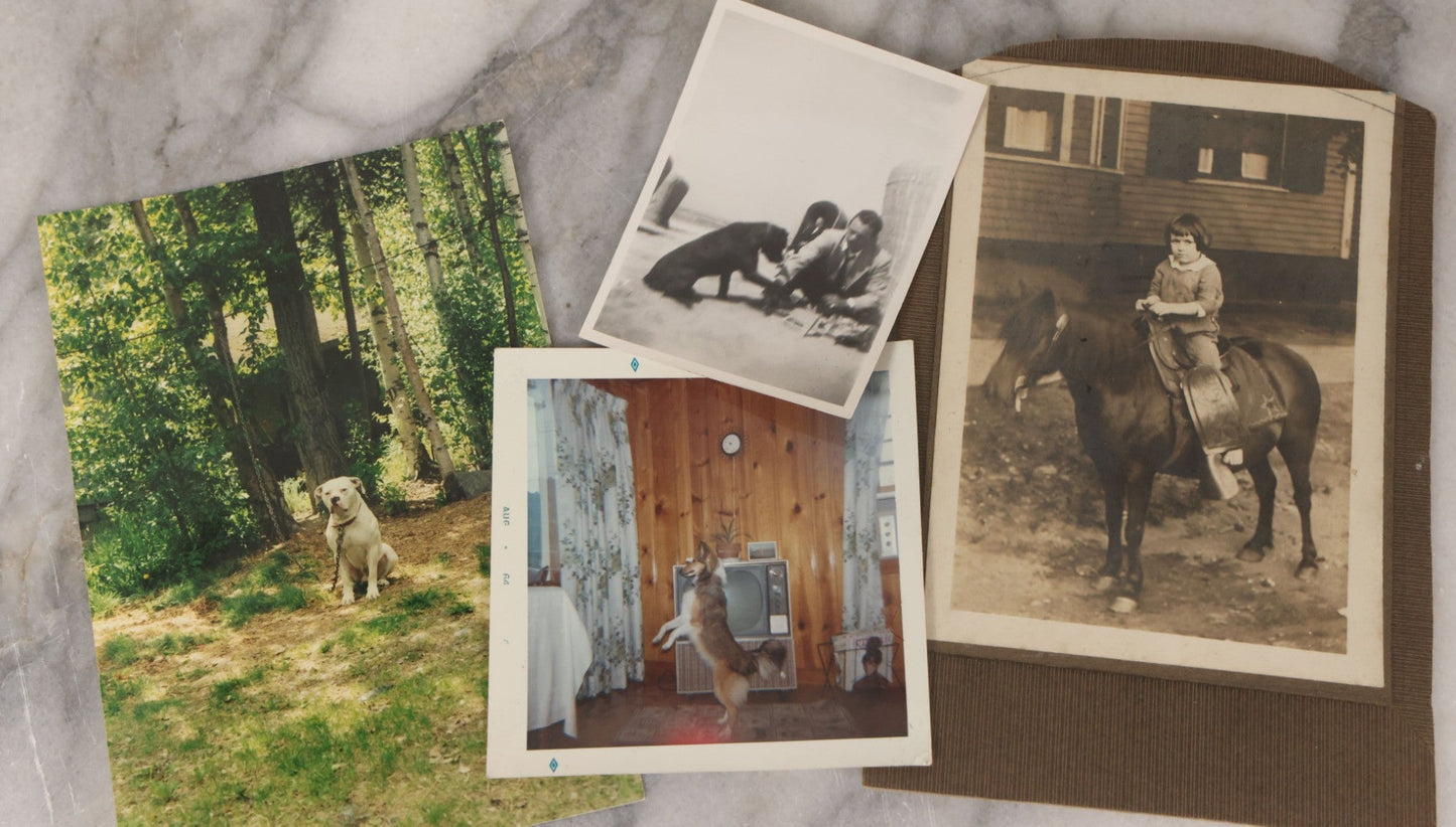Lot 136 - Grouping Of 35 Vintage And Modern Snapshot Photographs Of People And Their Beloved Pets, Including Cats, Dogs, Cows And More