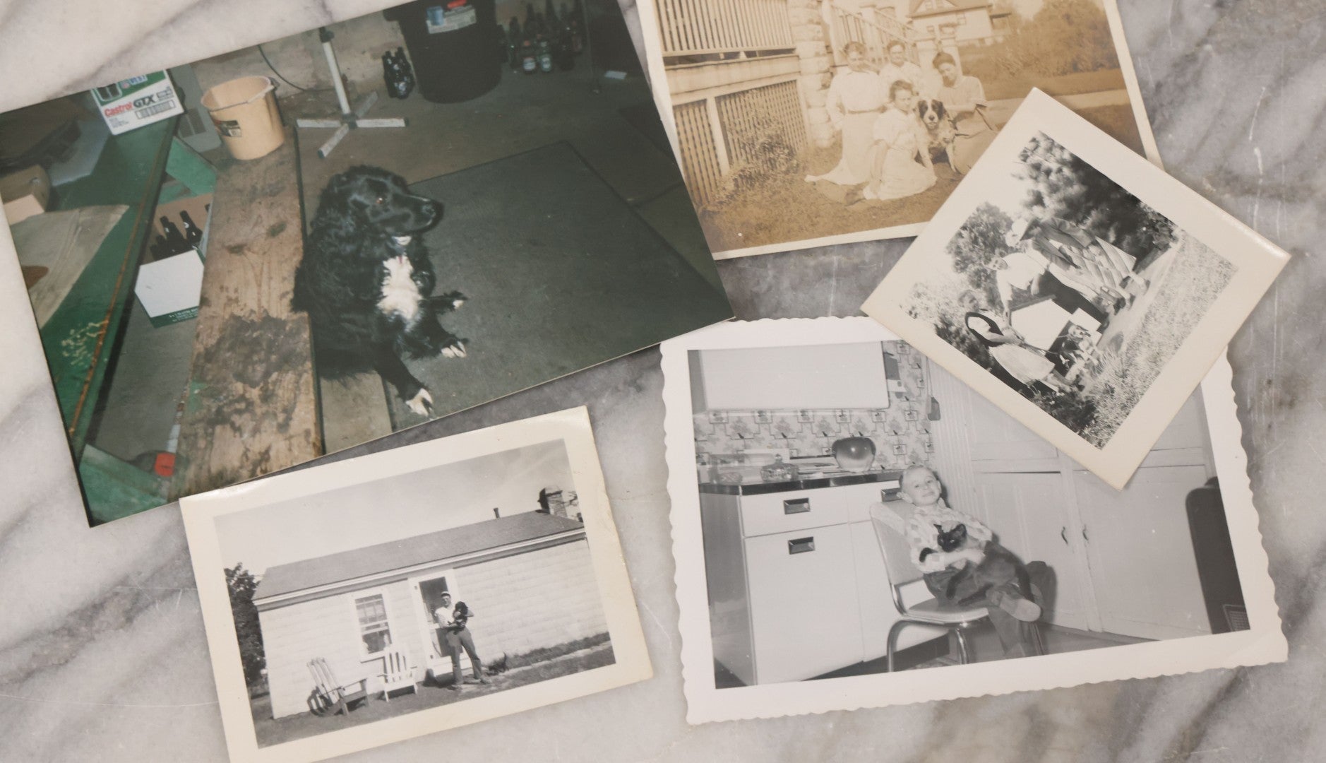 Lot 136 - Grouping Of 35 Vintage And Modern Snapshot Photographs Of People And Their Beloved Pets, Including Cats, Dogs, Cows And More