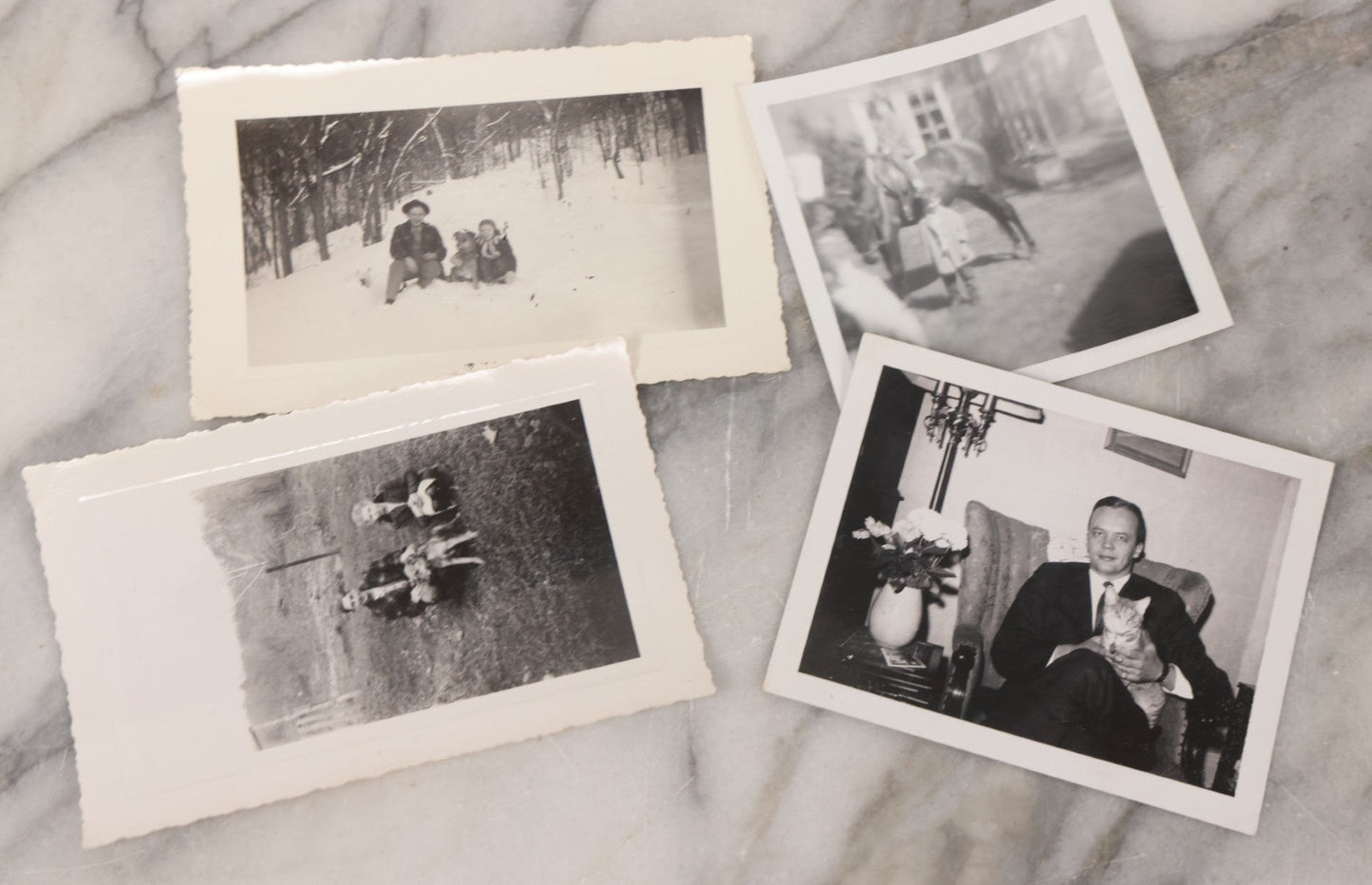 Lot 136 - Grouping Of 35 Vintage And Modern Snapshot Photographs Of People And Their Beloved Pets, Including Cats, Dogs, Cows And More