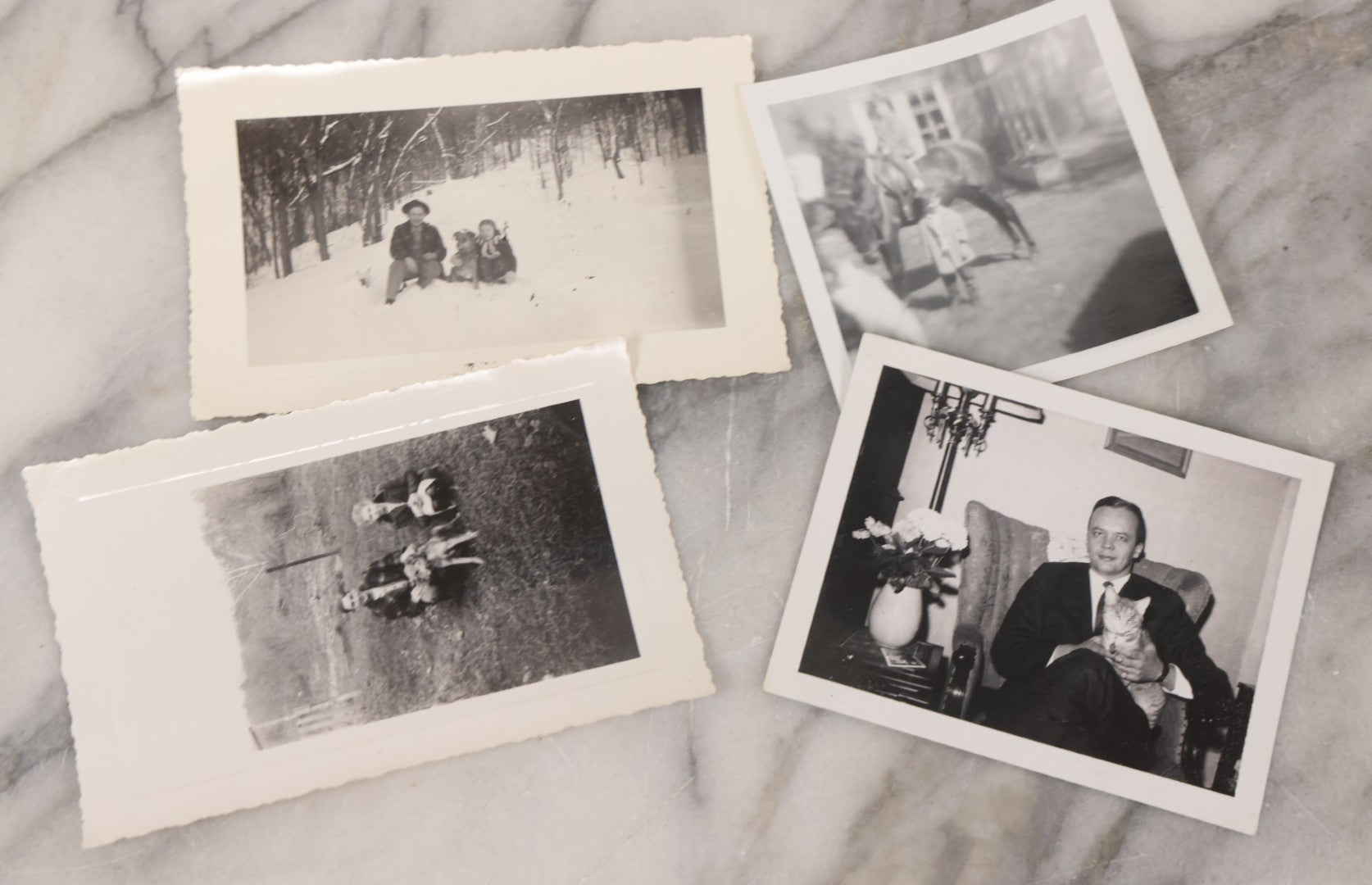 Lot 136 - Grouping Of 35 Vintage And Modern Snapshot Photographs Of People And Their Beloved Pets, Including Cats, Dogs, Cows And More