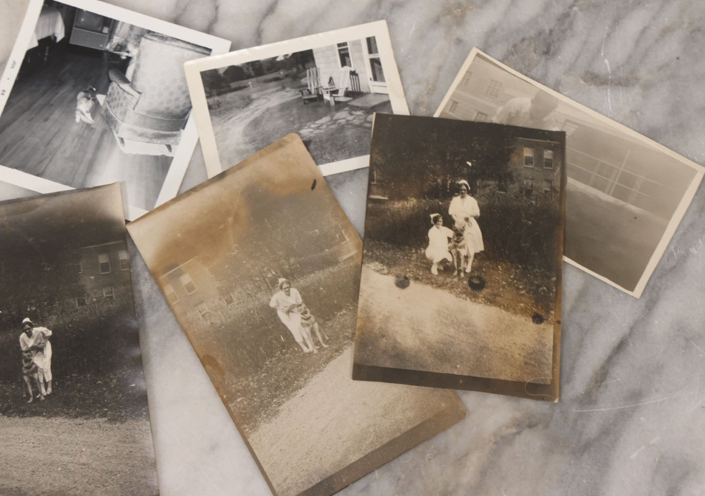 Lot 136 - Grouping Of 35 Vintage And Modern Snapshot Photographs Of People And Their Beloved Pets, Including Cats, Dogs, Cows And More