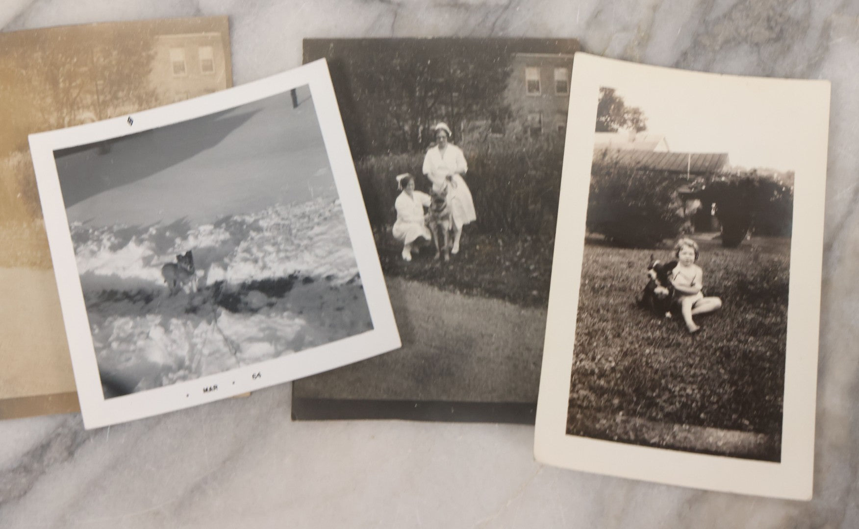 Lot 136 - Grouping Of 35 Vintage And Modern Snapshot Photographs Of People And Their Beloved Pets, Including Cats, Dogs, Cows And More