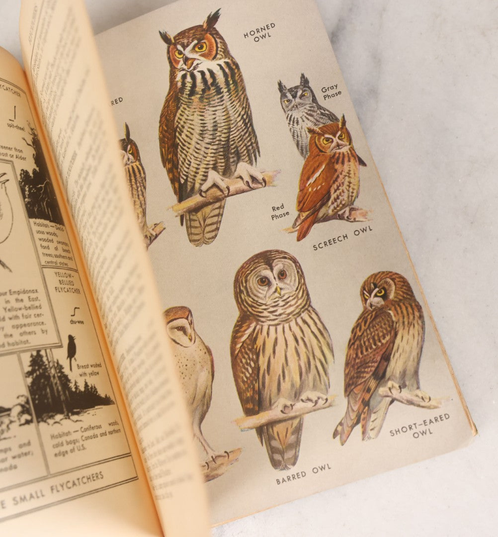 Lot 108 - "A Field Guide To The Birds: [...] All Species Found East Of The Rockies" Vintage Book Written And Illustrated By Roger Tory Peterson, Second Edition, Sponsored By National Audubon Society, Houghton Mifflin Company, Publishers, Boston, 1947