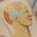 Lot 103 - "Vitalogy, An Encyclopedia Of Health And Home" Vintage Medical Book By E.H. Ruddock, M.D., Illustrated With Naturally Colored Fold Out Manikins And Colored And Half-Dashed Tone Plates, Published By Vitalogy Association, Chicago, Illinois, 1932