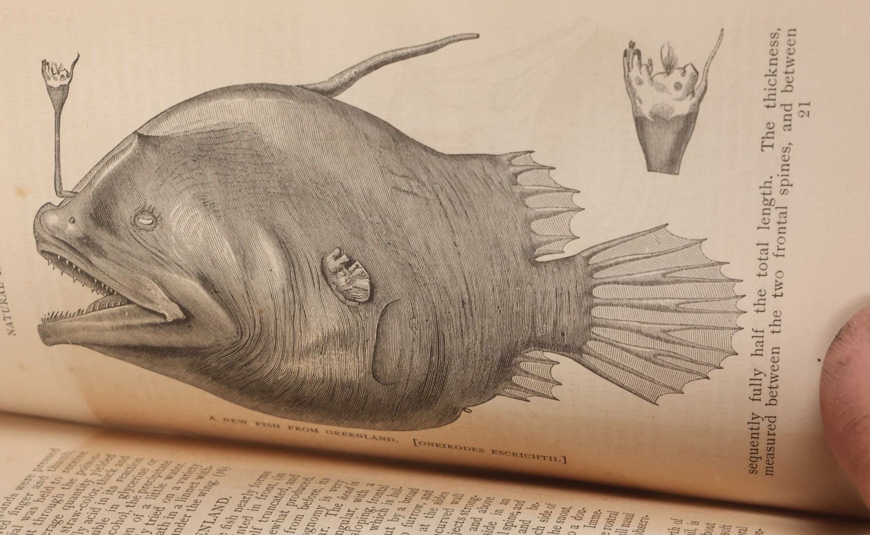 Lot 104 - "The Science Record For 1873, A Compendium Of Scientific Progress And Discovery During The Past Year" Antique Illustrated Book Edited By Alfred E. Beach, Munn & Company, Office Of The "Scientific American," Publishers, New York