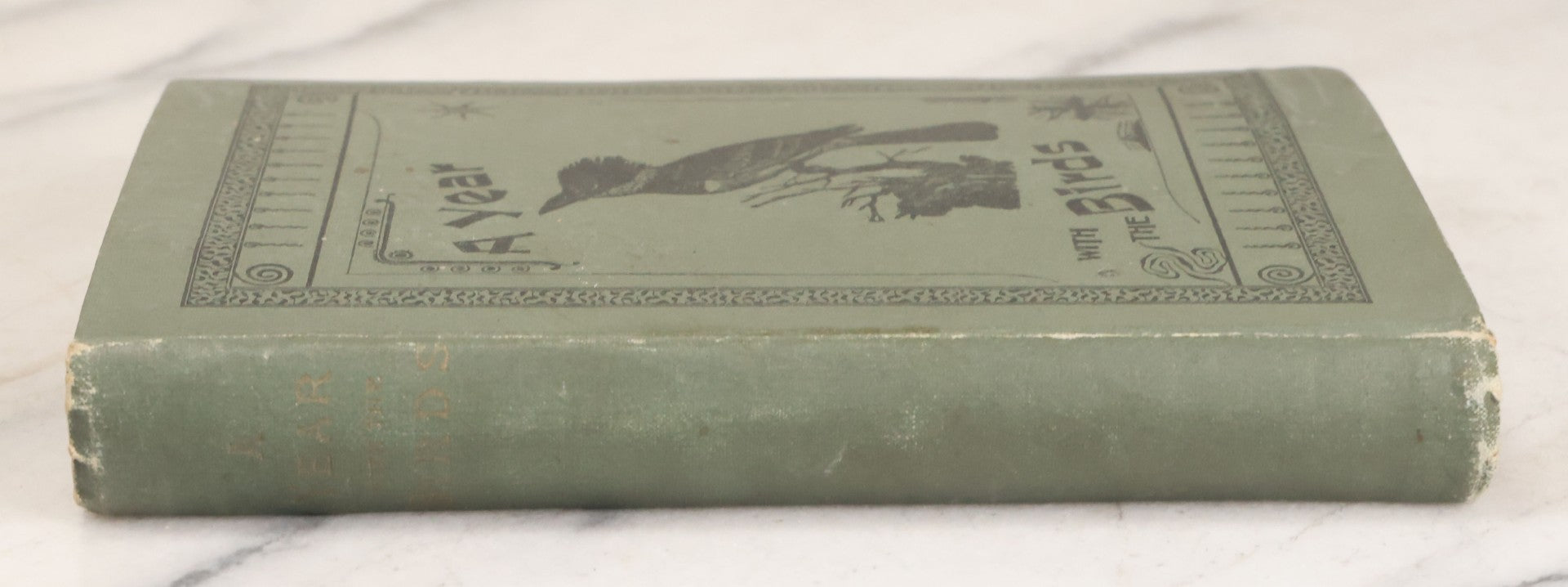 Lot 107 - "A Year With The Birds" Antique Illustrated Book By Wilson Flagg, Educational Publishing Company, Boston, 1890, Originally Published By Estes And Lauriat, Boston