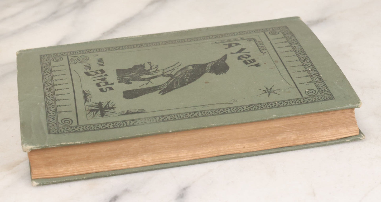 Lot 107 - "A Year With The Birds" Antique Illustrated Book By Wilson Flagg, Educational Publishing Company, Boston, 1890, Originally Published By Estes And Lauriat, Boston