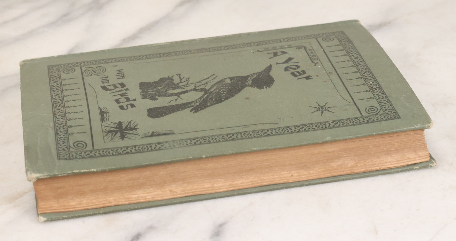 Lot 107 - "A Year With The Birds" Antique Illustrated Book By Wilson Flagg, Educational Publishing Company, Boston, 1890, Originally Published By Estes And Lauriat, Boston